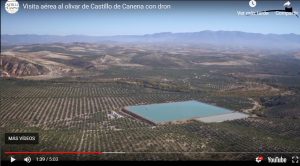 Visita aérea al olivar de Castillo de Canena